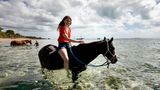 Zu Pferd ab ins Meer: Teil der Pferdesafari in Mosambik ist auch ein Abstecher ins kühle Nass. 
