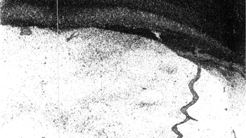 Das Abbild korkenzieherartiger Gyrolithes-Spurenfossilien: Bei solchen, etwa einen Millimeter durchmessenden Strukturen handelt es sich um Höhlen, die von wurmartigen Tiefseebewohnern angelegt und später mit Pyritmineral gefüllt wurden