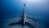 Im Golf von Akaba, Jordanien, gelang dieser Schnappschuss von einem auf dem Seitenruder eines versunkenen Lockheed-Jets balancierenden Freediver.