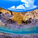 Auf der Insel Le Island in der Präfektur Okinawa, Japan, spiegeln sich bei Niedrigwasser Korallen an der Wasseroberfläche. Dank Fischaugenobjektiv konnte der Fotograf auch noch den Wolkenhimmel ins Bild holen.