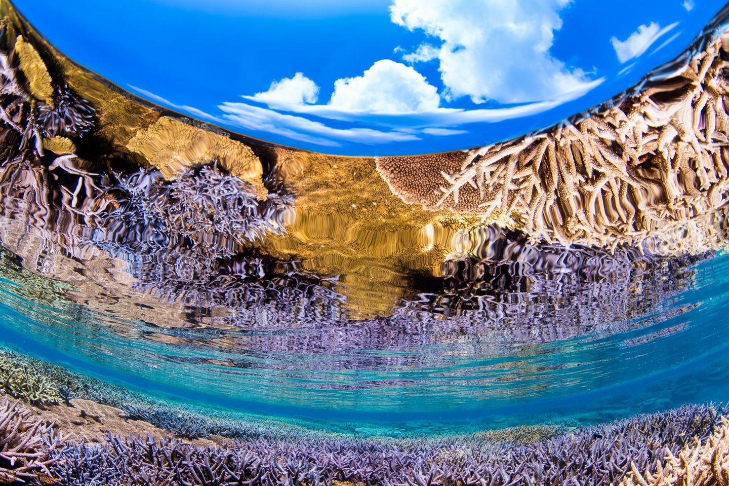 Auf der Insel Le Island in der Präfektur Okinawa, Japan, spiegeln sich bei Niedrigwasser Korallen an der Wasseroberfläche. Dank Fischaugenobjektiv konnte der Fotograf auch noch den Wolkenhimmel ins Bild holen.