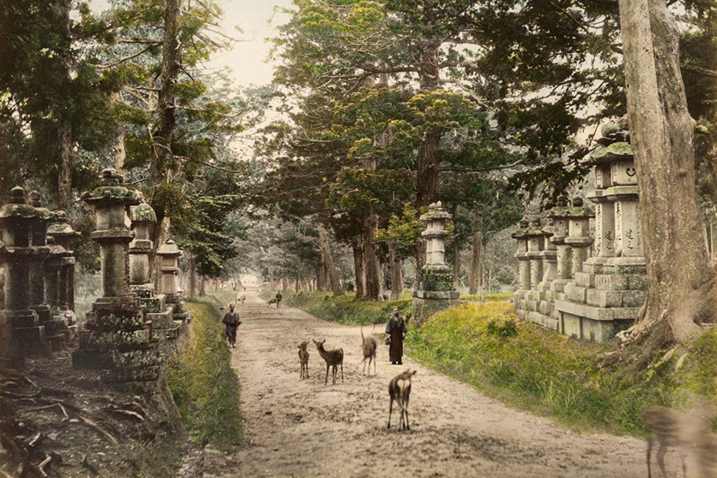 Gemäß dem Gründungsmythos des Kasuga-Taisha-Schreins ritt die Shinto-Gottheit Takemikazuchi auf einem weißen Hirsch bis zum Gipfel des nahe gelegenen Bergs Mikasa. Die zahlreichen Hirsche, die im umliegenden Wald und Park leben, werden bis heute mit dieser Geschichte in Verbindung gebracht. Sie gelten traditionell als Götterboten und wurden im Kasuga-Park so sehr verehrt, dass die Tötung eines Hirschs bis 1868 mit dem Tod bestraft wurde. 