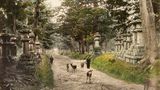 Gemäß dem Gründungsmythos des Kasuga-Taisha-Schreins ritt die Shinto-Gottheit Takemikazuchi auf einem weißen Hirsch bis zum Gipfel des nahe gelegenen Bergs Mikasa. Die zahlreichen Hirsche, die im umliegenden Wald und Park leben, werden bis heute mit dieser Geschichte in Verbindung gebracht. Sie gelten traditionell als Götterboten und wurden im Kasuga-Park so sehr verehrt, dass die Tötung eines Hirschs bis 1868 mit dem Tod bestraft wurde. 
