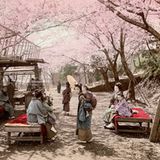 Das Dorf Noge profitierte davon, dass das nahe gelegene Yokohama seinen Hafen 1859 für den Außenhandel öffnete. Im Jahr 1889 wurde Noge in die expandierende Nachbarstadt eingegliedert. Auf dem nahegelegene Hügel Nogeyama, berühmt für seine prächtigen Kirschblüten, siedelten sich mit der Zeit wohlhabende lokale Kaufleute an. 