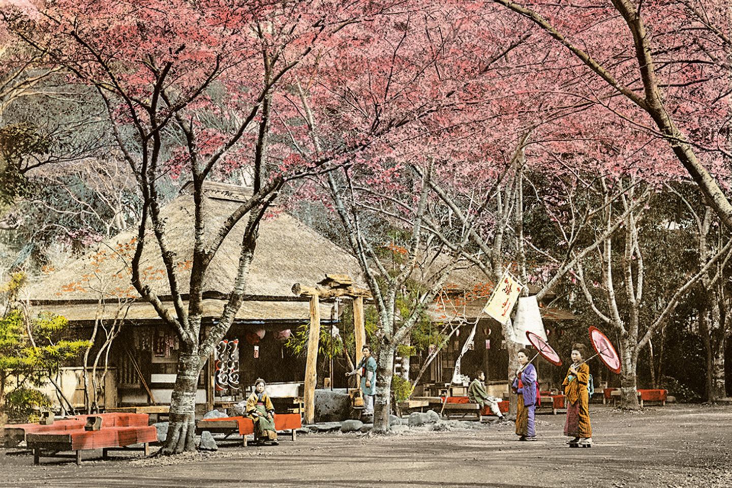 Seit seiner Gründung im Jahr 1873 ist der Ueno-Park ein beliebtes Ziel für Tokioter und Touristen glechermaßen. Neben der Kirschblüte bot der Park damals ganzjährig verschiedene Attraktionen, darunter eine Pferderennbahn, zahlreiche Ausstellungen und einen Zoo. 
