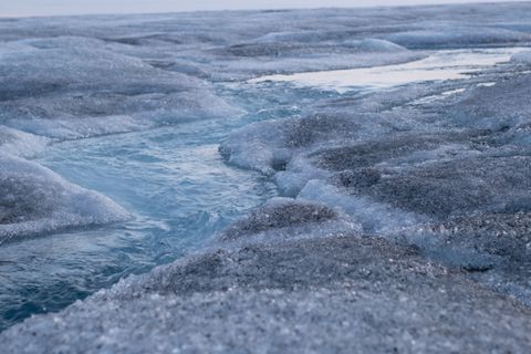 Dunkel Flecken auf dem Eis rühren, fernab jeder menschlichen Zivilisation, oft von Algen her, die sich auf der Oberfläche vermehren