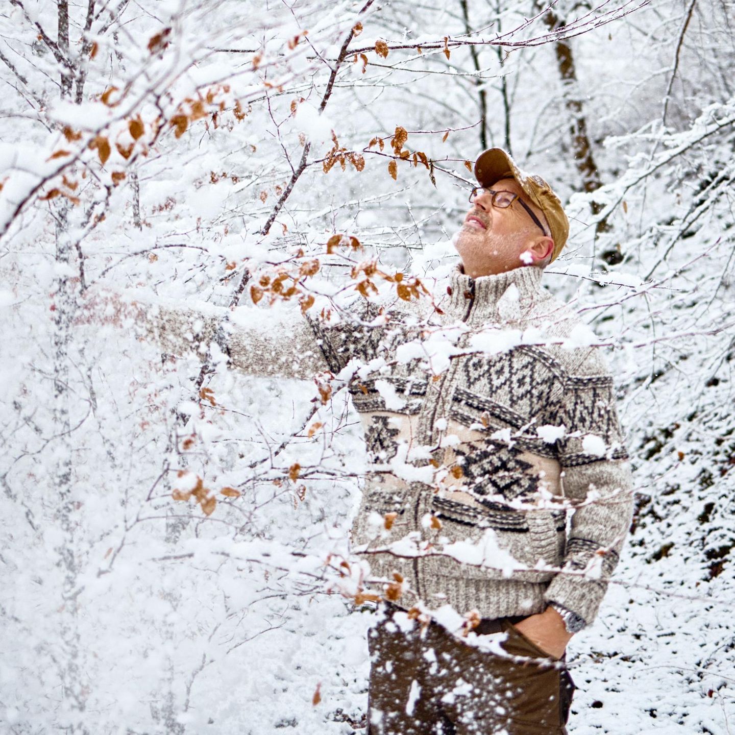 Gerade im Winter lässt sich eine verblüffende Eigenschaft von Bäumen beoachten: ihre Lernfähigkeit