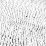 „Ich habe einen Wettbewerb gewonnen, bei dem ich mir keinerlei Chancen ausgemalt habe“, schreibt die slowenische Fotografin Maruša Puhek auf ihrem Instagram-Account. Sie sei keine klassische Naturfotografin mit professionellem Equipment, erzählt sie weiter. Stattdessen fotografiert sie am liebsten mit einer 14 Jahre alten Kamera, die auf wundersame Weise jedes Jahr den Geist aufgibt und dann doch wieder funktioniert. Ihr Gewinnerbild zeigt zwei Rehe an einem verschneiten Weinberg in Slowenien. Weil sie kein Teleobjektiv im Gepäck hatte, um eine Nahaufnahme zu machen, entstand ein friedvolles Bild, das die beiden Tiere lediglich als kleinen Teil der harmonischen Bildkomposition zeigt.  