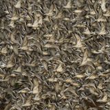 In Clive Burns Aufnahme wird die schiere Masse aus Vogelkörpern zum abstrakten Muster: Er hält fest, wie zehntausende Knuttstrandläufer und andere Watvögel an der Küste durch die hereinbrechende Flut zum Auffliegen gezwungen werden. Er hatte bereits mehrmals versucht, diesen dynamischen Moment zu fotografieren. Sein Glück: Diesmal flogen die Vögel parallel zur Kamera auf, sodass er viele der Körper scharf fokussieren konnte. 