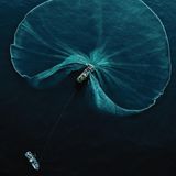 Fast wirkt das weit ausgeworfene Netz wie ein Teil der Natur: Robert Middletons Siegerfoto zeigt ein Boot beim Fischen von Sardellen vor der Küste von Phu Yen in Vietnam. Die ruhige Schönheit des Bildes wird überschattet vom Thema der Überfischung. Robert Middletons Bild soll sowohl zum Nachdenken über unsere Verbundenheit mit der Natur als auch unsere Verantwortung für das Ökosystem Meer anregen. 