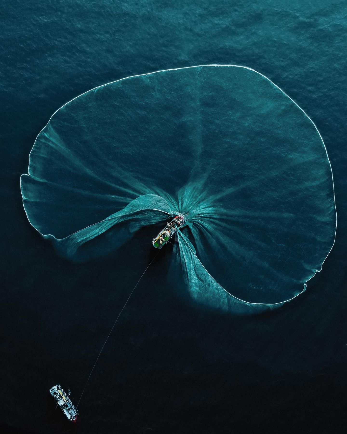 Sieger in der Kategorie "Mensch und Natur": Robert Middleton Fast wirkt das weit ausgeworfene Netz wie ein Teil der Natur: Robert Middletons Siegerfoto zeigt ein Boot beim Fischen von Sardellen vor der Küste von Phu Yen in Vietnam. Die ruhige Schönheit des Bildes wird überschattet vom Thema der Überfischung. Robert Middletons Bild soll sowohl zum Nachdenken über unsere Verbundenheit mit der Natur als auch unsere Verantwortung für das Ökosystem Meer anregen.