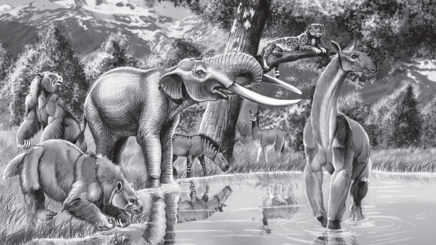 Ausgestorbene Megafauna: Manche der prähistorischen Säugetiere Südamerikas haben offenbar länger überdauert als bislang angenommen © Wikimedia Commons (CC BY-SA 4.0)