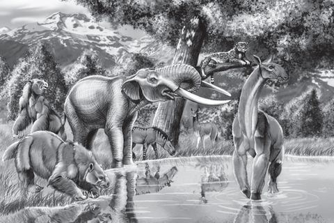 Ausgestorbene Megafauna: Manche der prähistorischen Säugetiere Südamerikas haben offenbar länger überdauert als bislang angenommen © Wikimedia Commons (CC BY-SA 4.0)
