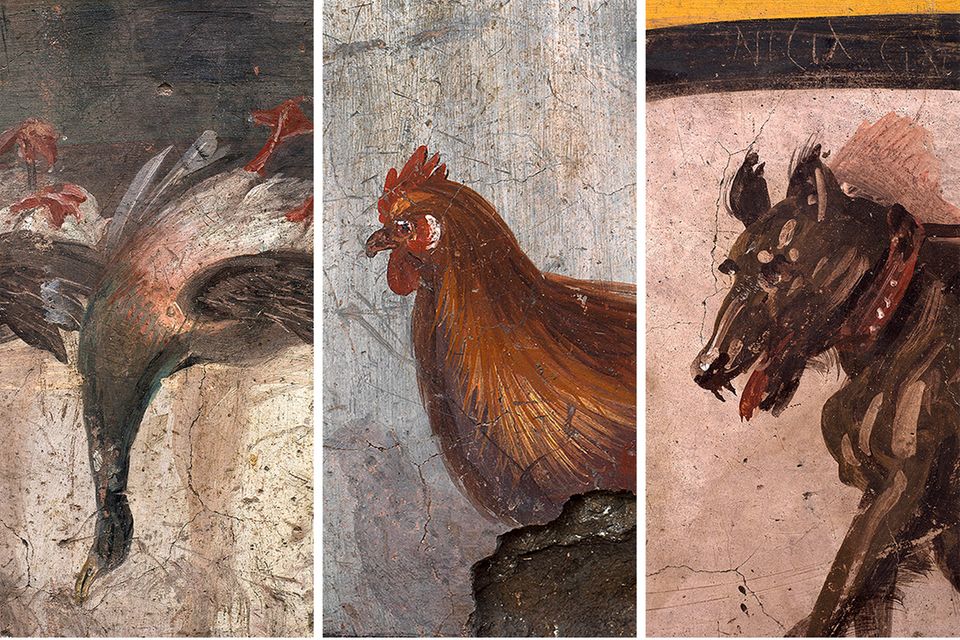 Detail des Imbissstandes aus Pompeji: Huhn und Ente standen sicher auf der Speisekarte, der Hund könnte auch eine Warnung an potentielle Diebe gewesen sein: Achtung, diese Bude wird bewacht!