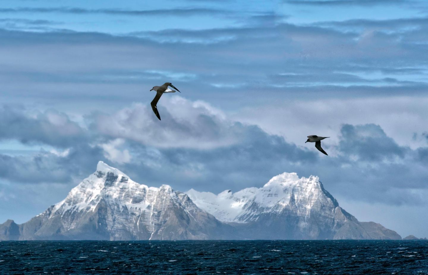 The snow covered peaks of South Georgia Island under a beautiful clouds and flying albatrosses 