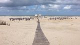 Strand Oase mit Strandsauna auf Norderney.