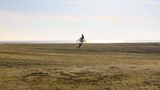 Radfahrer auf dem Südstrandpolderdeich auf Norderney