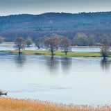 Nationalpark Unteres Odertal