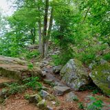 Nationalpark Hunsrück-Hochwald