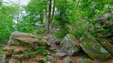 Nationalpark Hunsrück-Hochwald