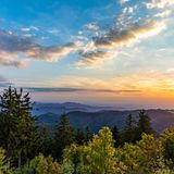 Nationalpark Schwarzwald