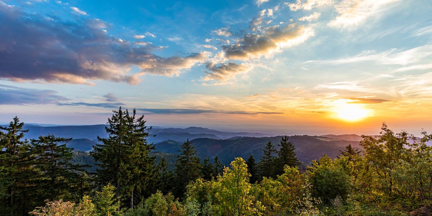 Nationalpark Schwarzwald  Nationalpark Schwarzwald
