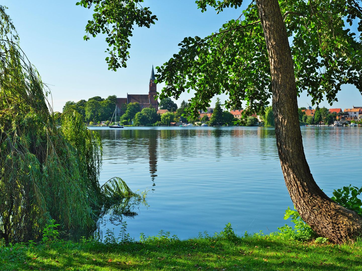 Müritz-Nationalpark Müritz-Nationalpark