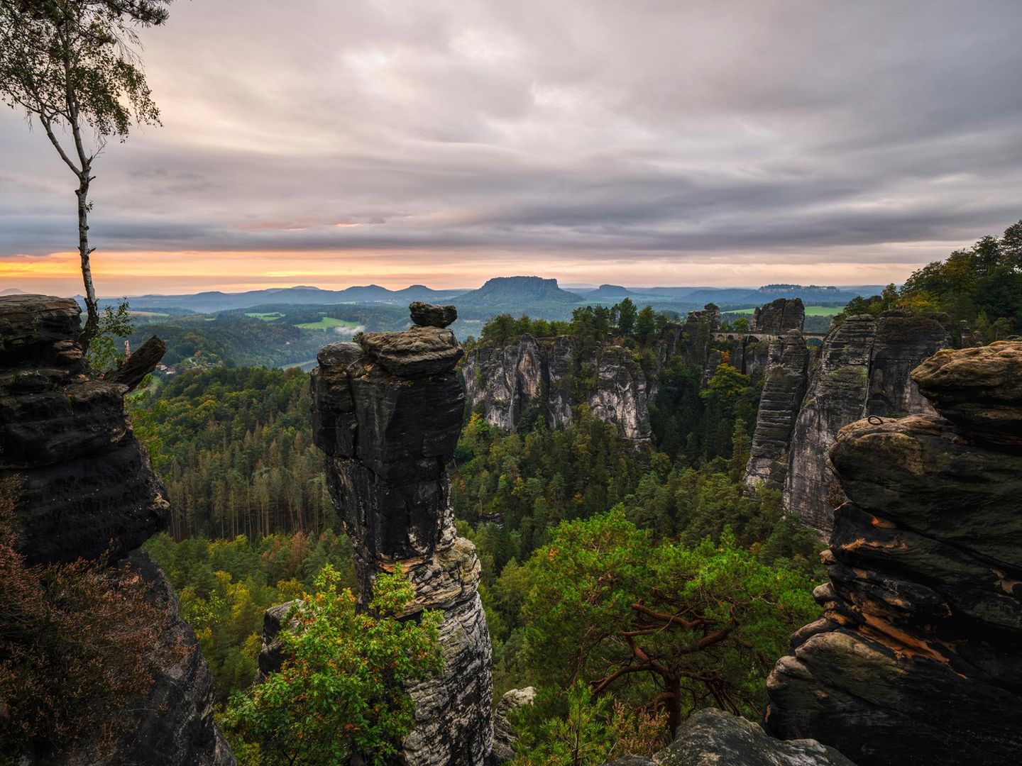 Nationalpark Sächsische Schweiz Morgendämmerung am Wehlgrund im Nationalpark Sächsische Schweiz, Bastei, Lohmen