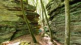 Nationalpark Eifel