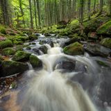 Nationalpark Bayerischer Wald