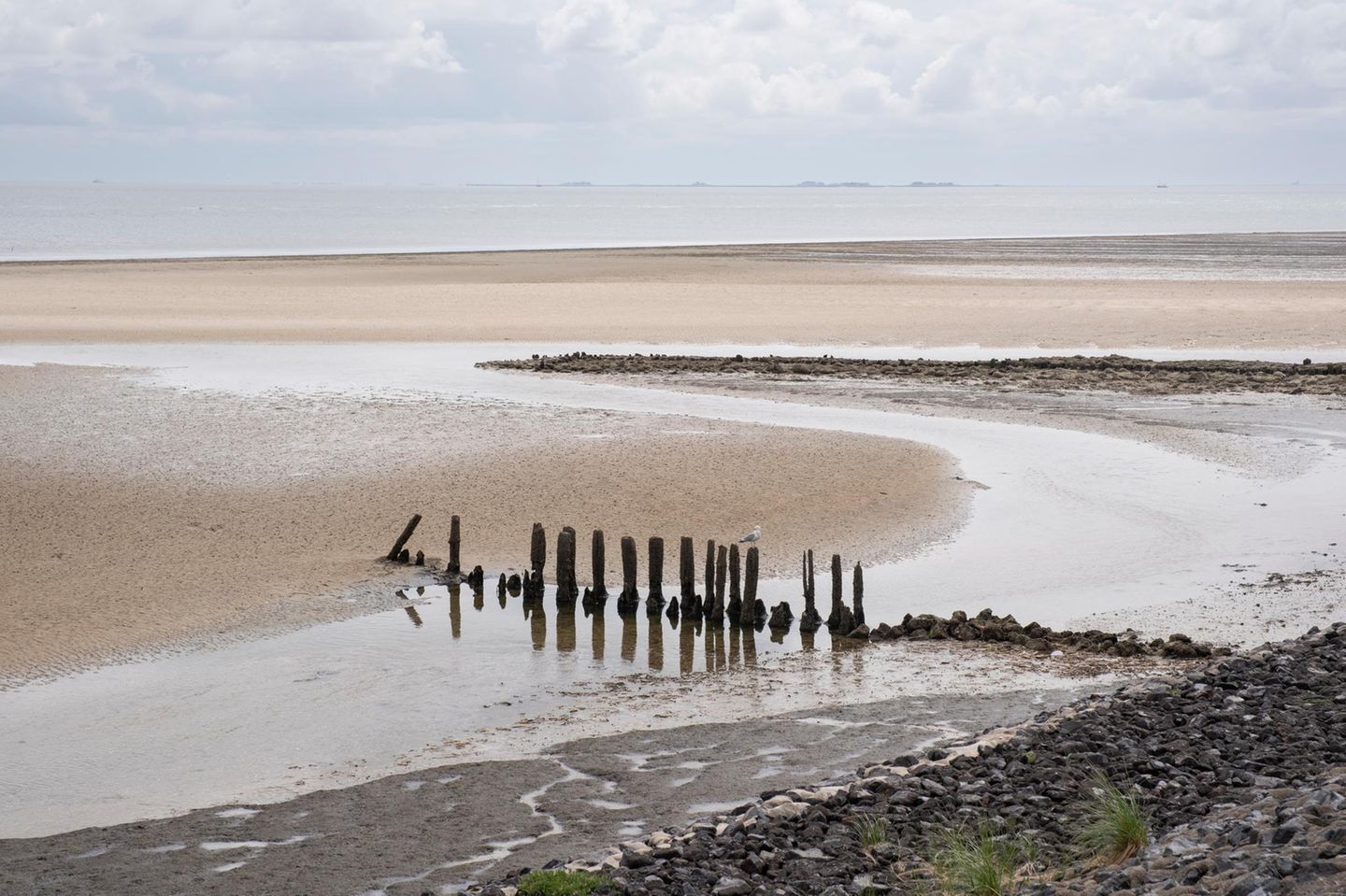 Nationalpark Wattenmeer Nationalpark Wattenmeer