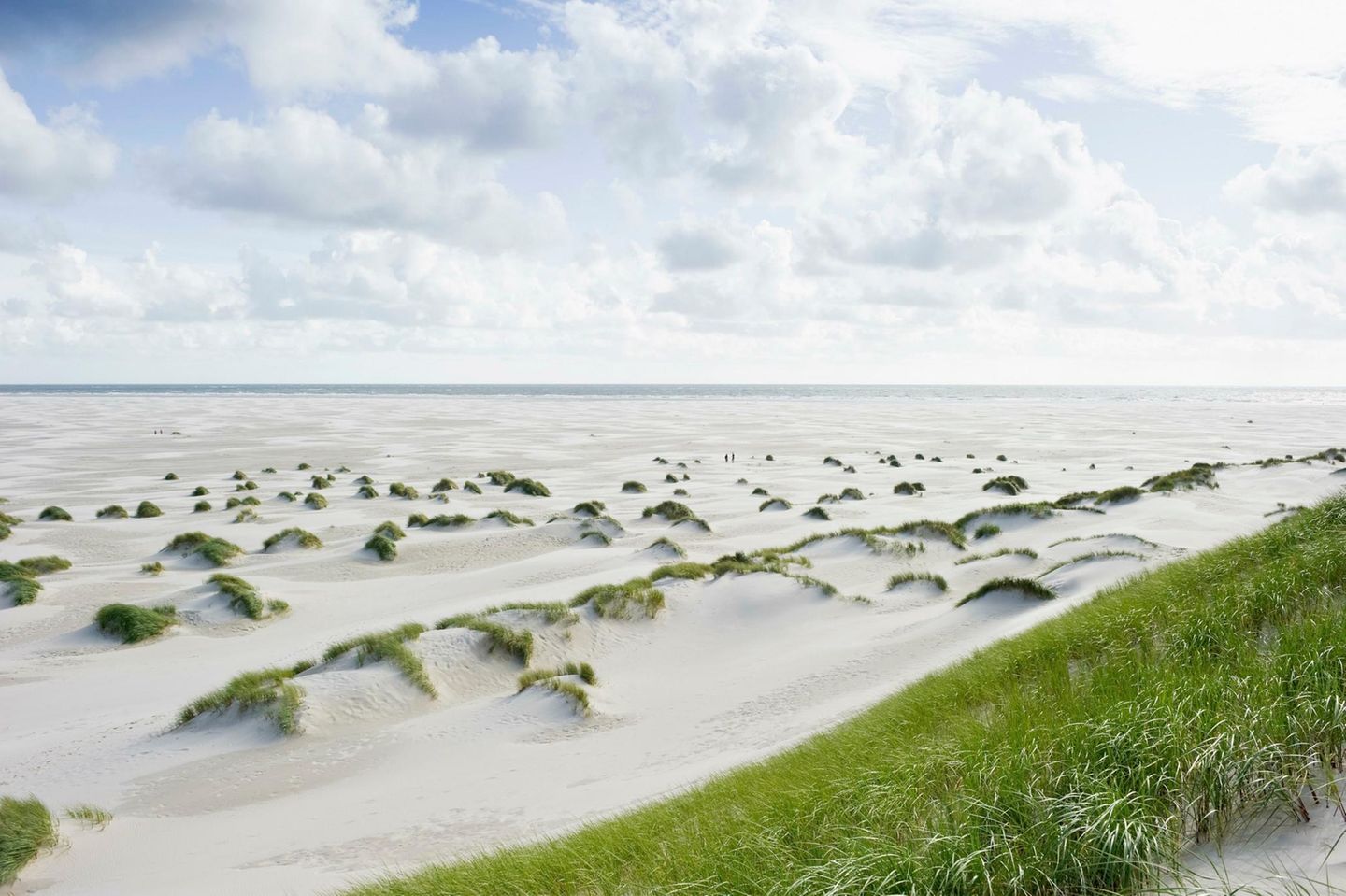 Kopf frei auf Kniepsand Kniepsand auf Amrum