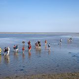 Wattwandern auf Amrum