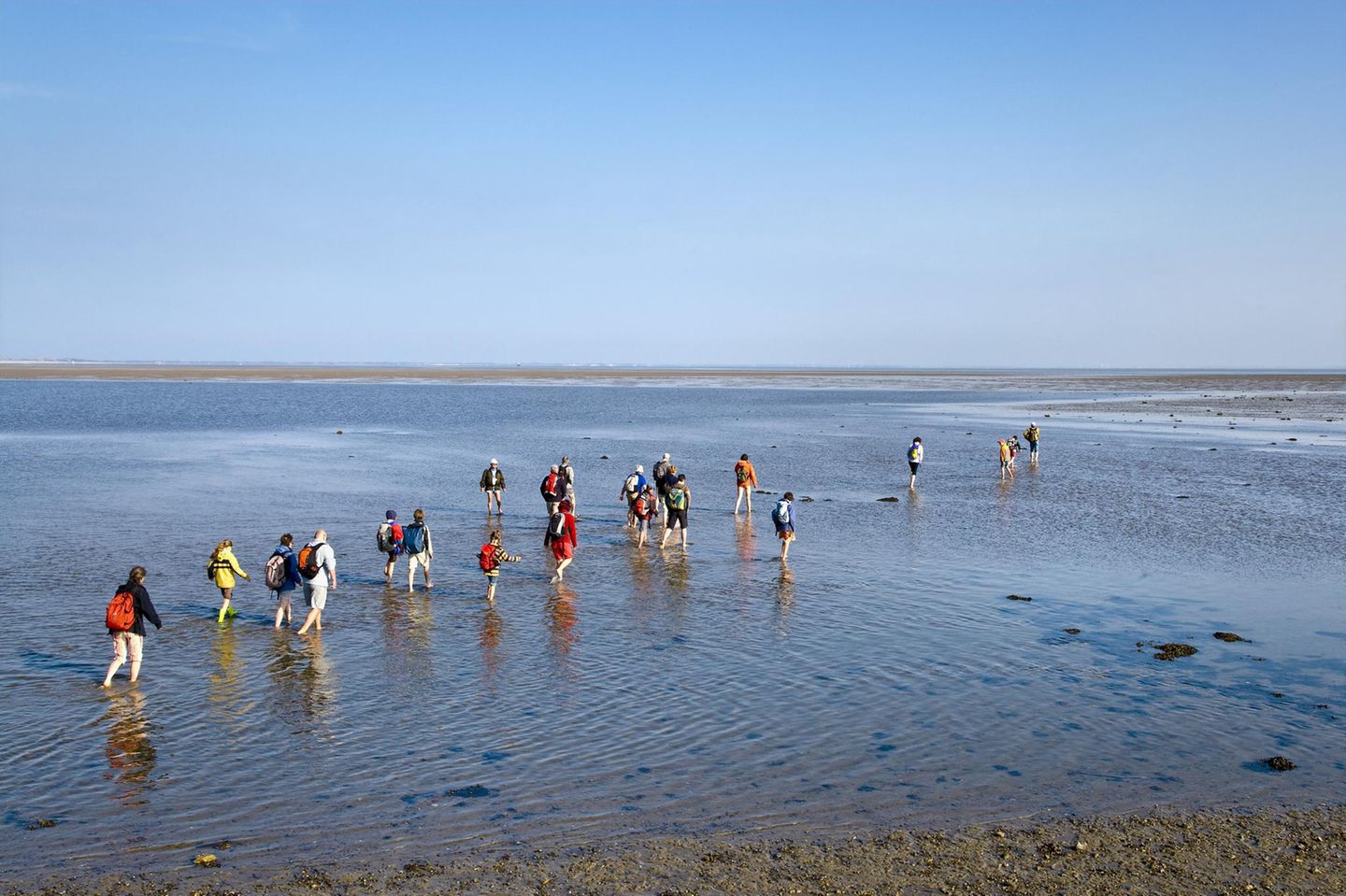 Wattwandern auf Amrum