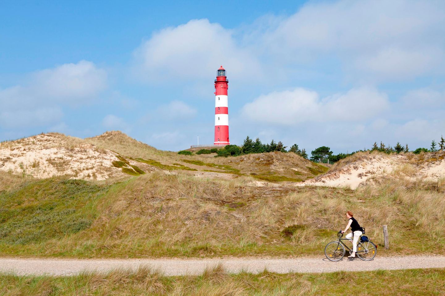 Nur zehn Kilometer lang und zwei Kilometer breit – ein Riese unter den Insel ist Amrum nicht, hält aber trotzdem tolle Radtouren bereit. Auf der Strecke von Norddorf im Norden bis nach Wittdün im Süden warten Dünen, Watvögel, Wattenmeer und Wald bis hin zu einem der größten Leuchttürme an der deutschen Nordseeküste. Die gut 30 Kilometer lange und flache Route ist gut für Familien geeignet. Der weite Blick aufs Wattenmeer und die Nordsee beim Radeln abseits der Straßen ist ebenso schön wie die verdiente Pause am Leuchtturm Amrum von 1875. Der rot-weiße geringelte Riese ragt bei Wittdün 63 Meter in die Höhe und ist als Aussichtsplattform sogar im Winter mittwochs von 9 Uhr und 12.30 Uhr geöffnet.