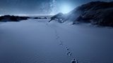 Wenn um Mitternacht die Straßenbeleuchtung auf Amrum abgeschaltet wird und nur noch der Mond die Dünen erhellt, legt sich die Dunkelheit über die Insel. Ist der Himmel klar, erweitert eine Wanderung durch die Dünen im wahrsten Sinne des Wortes den Horizont – nach oben. Sterne funkeln, die Milchstraße steht mit ihrem silbernen Glanz über den Köpfen, mit Glück huschen Sternschnuppen vorbei, absolute Stille. Dark Sky Wanderungen auf Amrum sind ein einmaliges Erlebnis, das um die drei Stunden dauert, meist ab 12 Jahren ist und aus gutem Grund keine Smartphones oder Hunde erlaubt. Eingehüllt in eine warme Decke auf der Isomatte am Strand, ist außer den leisen Erklärungen des Führers zum Sternenhimmel nichts zu hören. Wie treffend, dass der Dark-Sky-Guide auf Amrum tatsächlich Dark Blome heißt.