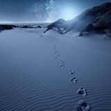 Wenn um Mitternacht die Straßenbeleuchtung auf Amrum abgeschaltet wird und nur noch der Mond die Dünen erhellt, legt sich die Dunkelheit über die Insel. Ist der Himmel klar, erweitert eine Wanderung durch die Dünen im wahrsten Sinne des Wortes den Horizont – nach oben. Sterne funkeln, die Milchstraße steht mit ihrem silbernen Glanz über den Köpfen, mit Glück huschen Sternschnuppen vorbei, absolute Stille. Dark Sky Wanderungen auf Amrum sind ein einmaliges Erlebnis, das um die drei Stunden dauert, meist ab 12 Jahren ist und aus gutem Grund keine Smartphones oder Hunde erlaubt. Eingehüllt in eine warme Decke auf der Isomatte am Strand, ist außer den leisen Erklärungen des Führers zum Sternenhimmel nichts zu hören. Wie treffend, dass der Dark-Sky-Guide auf Amrum tatsächlich Dark Blome heißt.