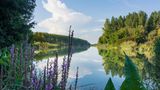 Die goldene Donau
