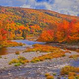 Canada, Nova Scotia, Cape Breton Island. The North River and forest in autumn foliage.