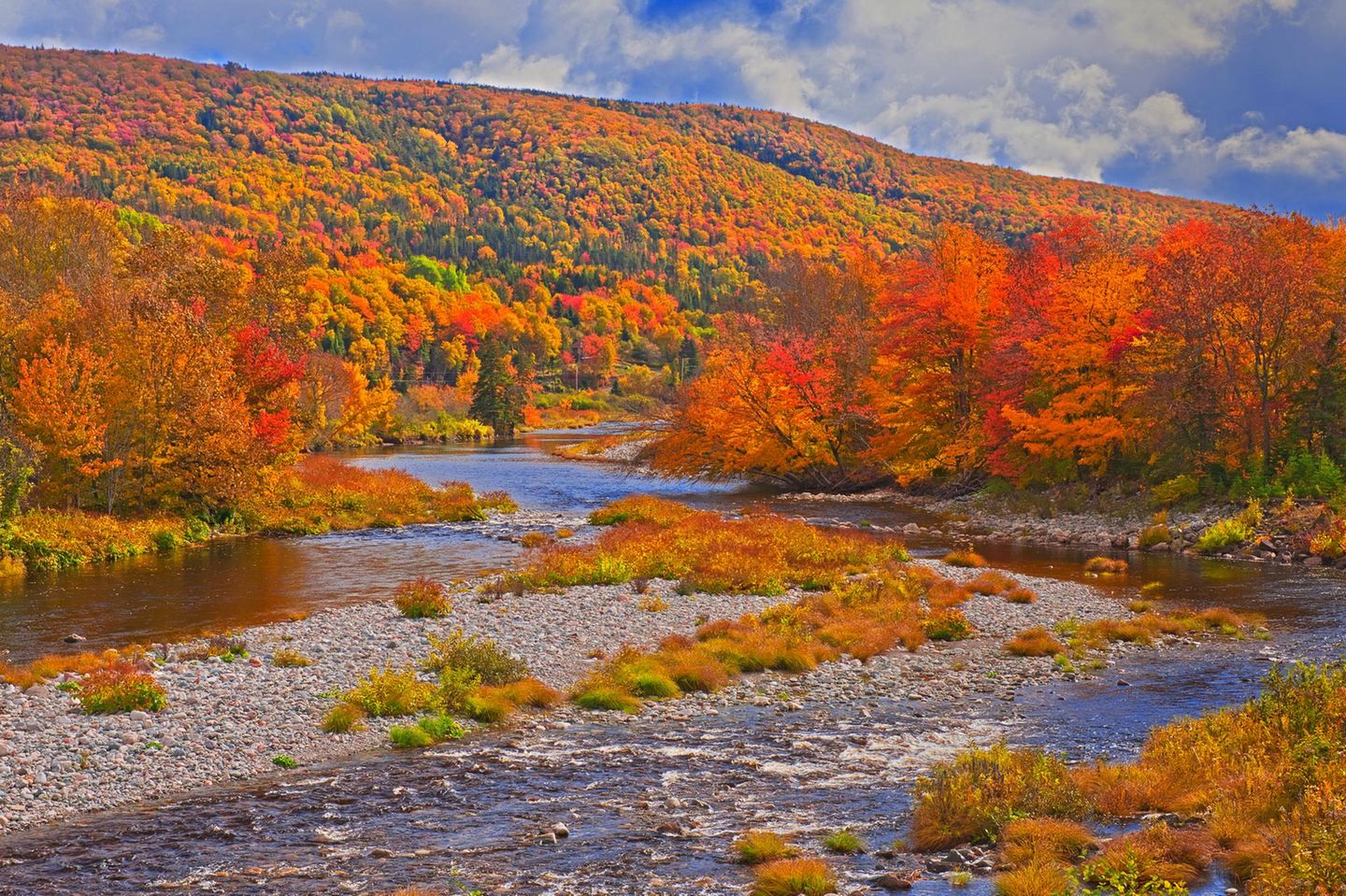 Cape Breton Island, Nova Scotia Canada, Nova Scotia, Cape Breton Island. The North River and forest in autumn foliage.