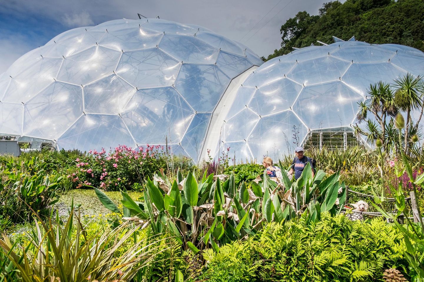 The geodesic biome domes at the Eden Project in Cornwall.