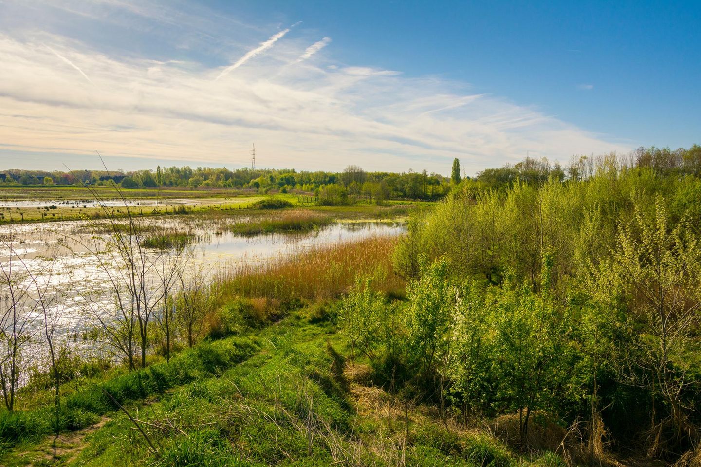 in einem Satten grün erstrahlende wiesen, die den Flusses Scheldt umgeben.
