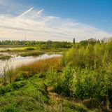 in einem Satten grün erstrahlende wiesen, die den Flusses Scheldt umgeben.