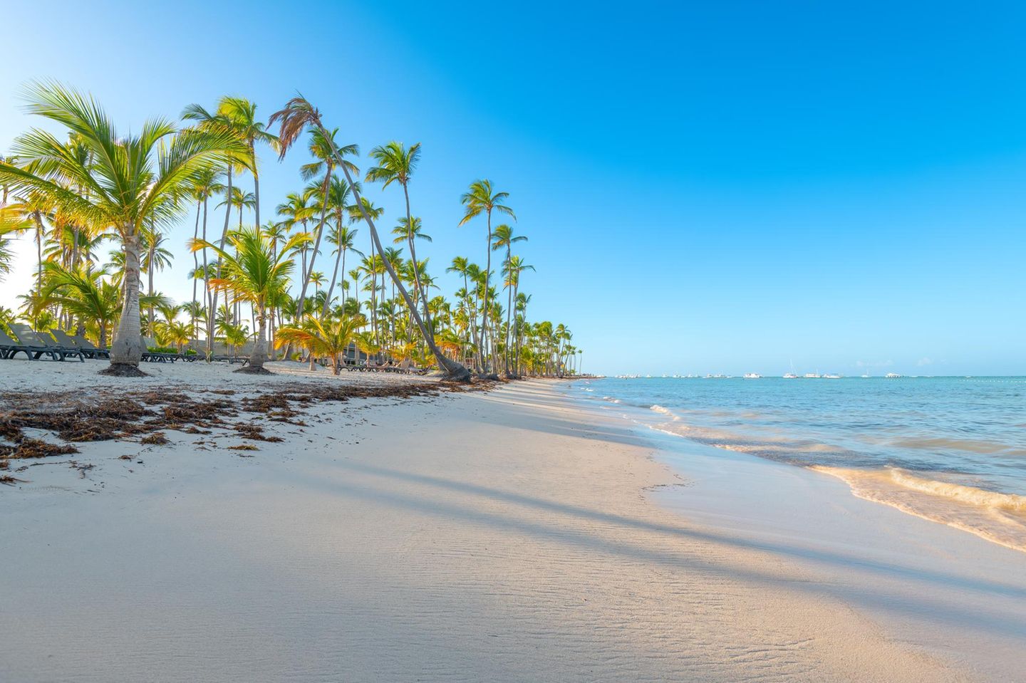 Bavaro Strand in Punta Cana in der  Dominikanische Republik