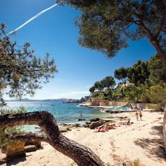 Sonne und Strand, mehr braucht es für viele nicht zum Urlaubsglück. Mittelmeerziele wie die Balearen sind deshalb weiterhin sehr gefragt