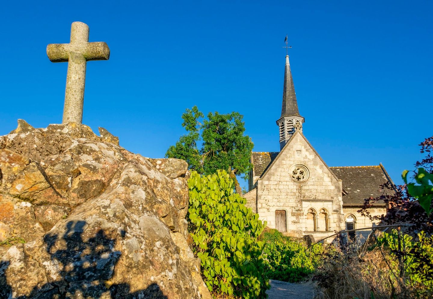 Flussinsel Béhuard in der Provinz Anjou