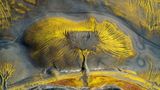 Fast scheint es, als hätte die Natur mit feinen Pinselstrichen einen Lebensbaum auf eine lebendige Leinwand gemalt. Golden schimmernde Adern breiten sich auf dieser Luftaufnahme vom Zentrum nach außen aus und verflechten sich zu einem komplexen organischen Muster, das an Äste oder Wurzeln erinnert. Tatsächlich haben Mineralablagerungen und Erosion hier leuchtende Gelbtöne in die dunkle Landschaft gemeißelt. Der deutsche Fotograf Timo Zilz gehört mit seiner Aufnahme zu den Finalisten in der Kategorie "Naturlandschaften".
