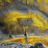 Fast scheint es, als hätte die Natur mit feinen Pinselstrichen einen Lebensbaum auf eine lebendige Leinwand gemalt. Golden schimmernde Adern breiten sich auf dieser Luftaufnahme vom Zentrum nach außen aus und verflechten sich zu einem komplexen organischen Muster, das an Äste oder Wurzeln erinnert. Tatsächlich haben Mineralablagerungen und Erosion hier leuchtende Gelbtöne in die dunkle Landschaft gemeißelt. Der deutsche Fotograf Timo Zilz gehört mit seiner Aufnahme zu den Finalisten in der Kategorie "Naturlandschaften".