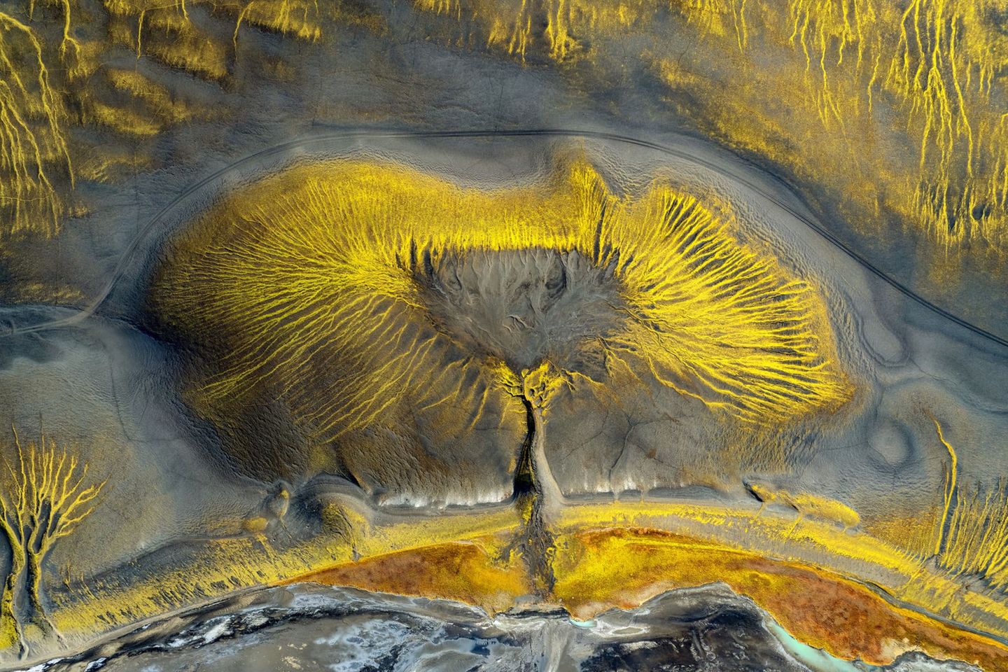 Fast scheint es, als hätte die Natur mit feinen Pinselstrichen einen Lebensbaum auf eine lebendige Leinwand gemalt. Golden schimmernde Adern breiten sich auf dieser Luftaufnahme vom Zentrum nach außen aus und verflechten sich zu einem komplexen organischen Muster, das an Äste oder Wurzeln erinnert. Tatsächlich haben Mineralablagerungen und Erosion hier leuchtende Gelbtöne in die dunkle Landschaft gemeißelt. Der deutsche Fotograf Timo Zilz gehört mit seiner Aufnahme zu den Finalisten in der Kategorie "Naturlandschaften".