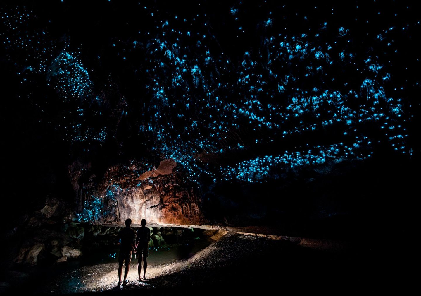 Die Waitomo Caves (auch Waitomo-Höhlen) auf der Nordinsel beherbergen ein wunderschön anzuschauendes Naturphänomen. Die Höhlendecke ist von abertausenden Lichtpunkten beleuchtet, die in der Dunkelheit bläulich schimmern. Wer jetzt an Glühwürmchen denkt, liegt falsch. Tatsächlich sind es Pilzmückenlarven, die selbstleuchtende Fäden produzieren, um Beute anzulocken und zu fangen. Die lumineszierenden Fäden sind klebrig und werden so zur Falle. Die drei Höhlen können zu Fuß oder auch auf einer Bootstour erkundet werden. Neben dem faszinierenden Leuchten der Mückenlarven sind auch die vielen Stalaktiten und Stalagmiten den Besuch wert.